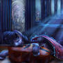 Tavi's sleep