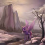 Cadance of the north Dec 28th