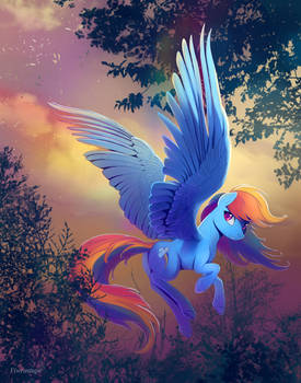 Pegasus magic