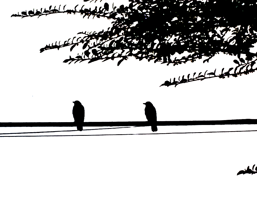 Two Birds on a Wire by Solveig1900 on DeviantArt
