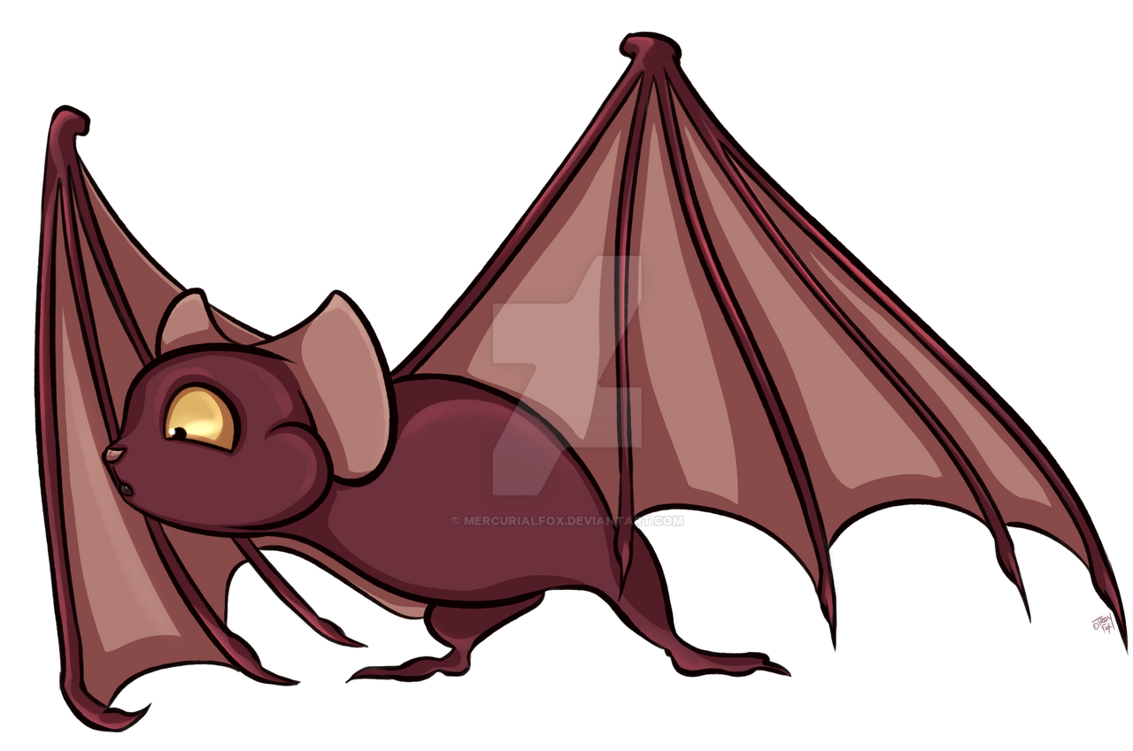 Curious Bat