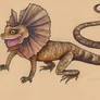 Frilled Lizard, Thrilled Lizard