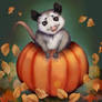 Autumn Opossum