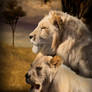 A Pair Of White Lions