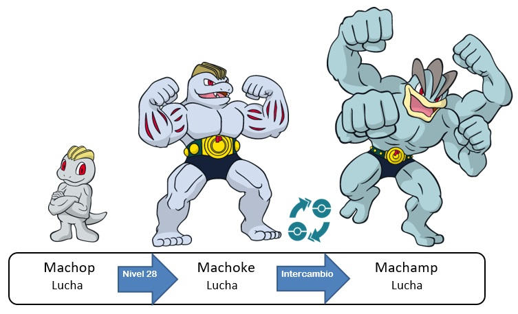 066 Machop Machoke Machamp by PokeyFakemon on DeviantArt
