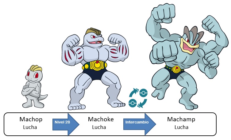 066 Machop Machoke Machamp by PokeyFakemon on DeviantArt