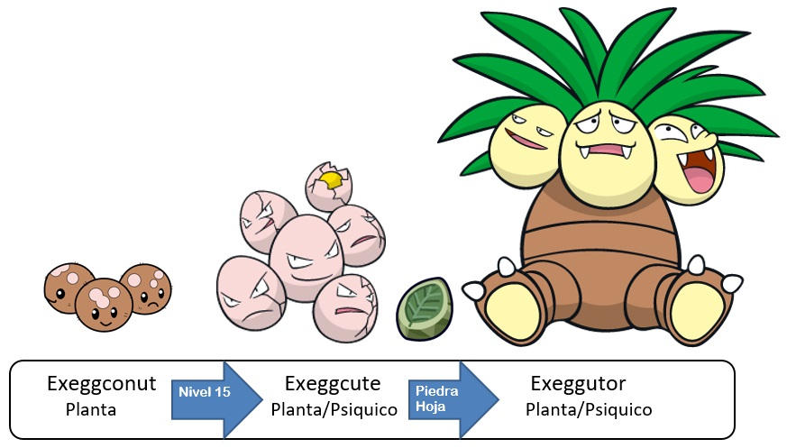 Exegutor Evolution Line 102 Exeggconut Exeggcute Exeggutor by PokeyFakemon on DeviantArt