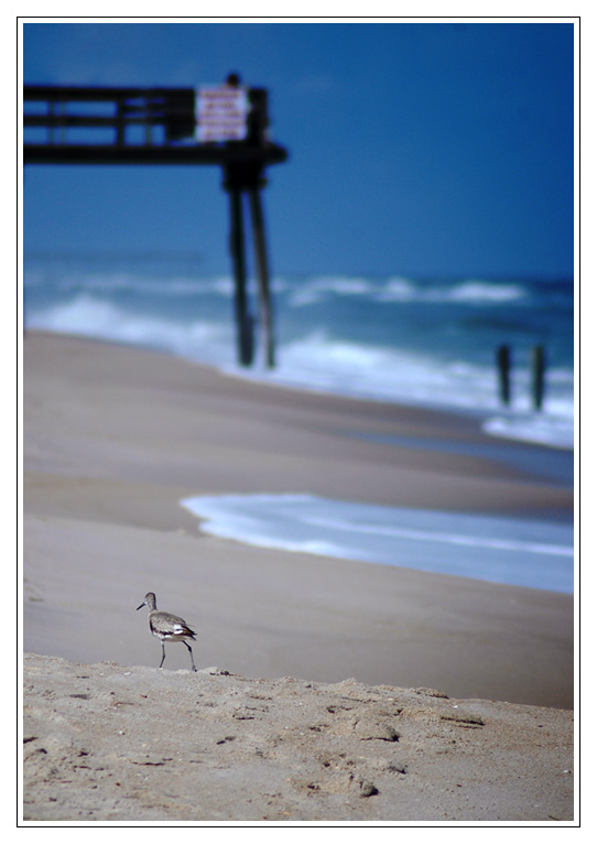 beach tread