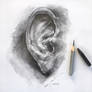 EAR SKETCH