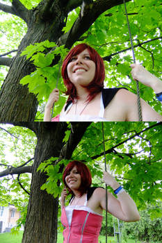 Leaves