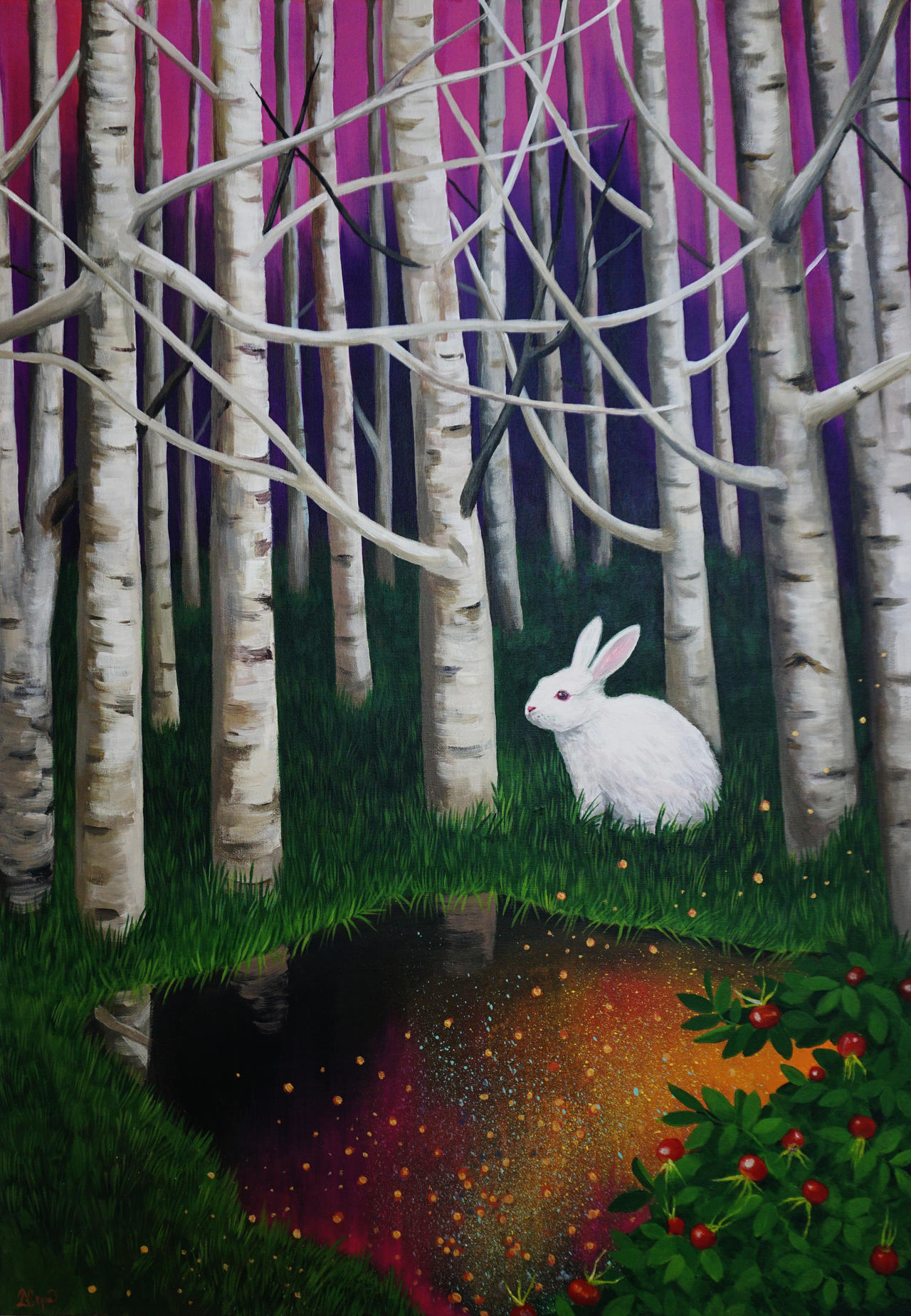 Rabbit in Wonderland by sseja on DeviantArt