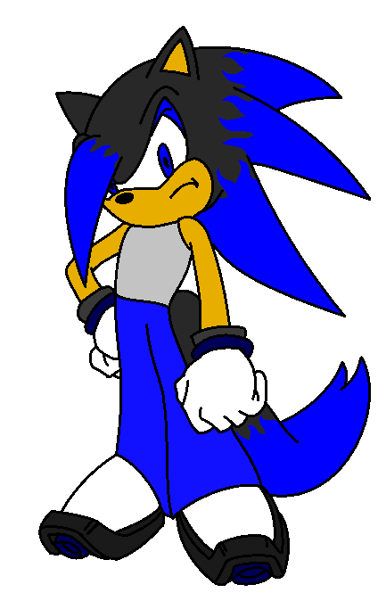 NightWolf in Sonic X