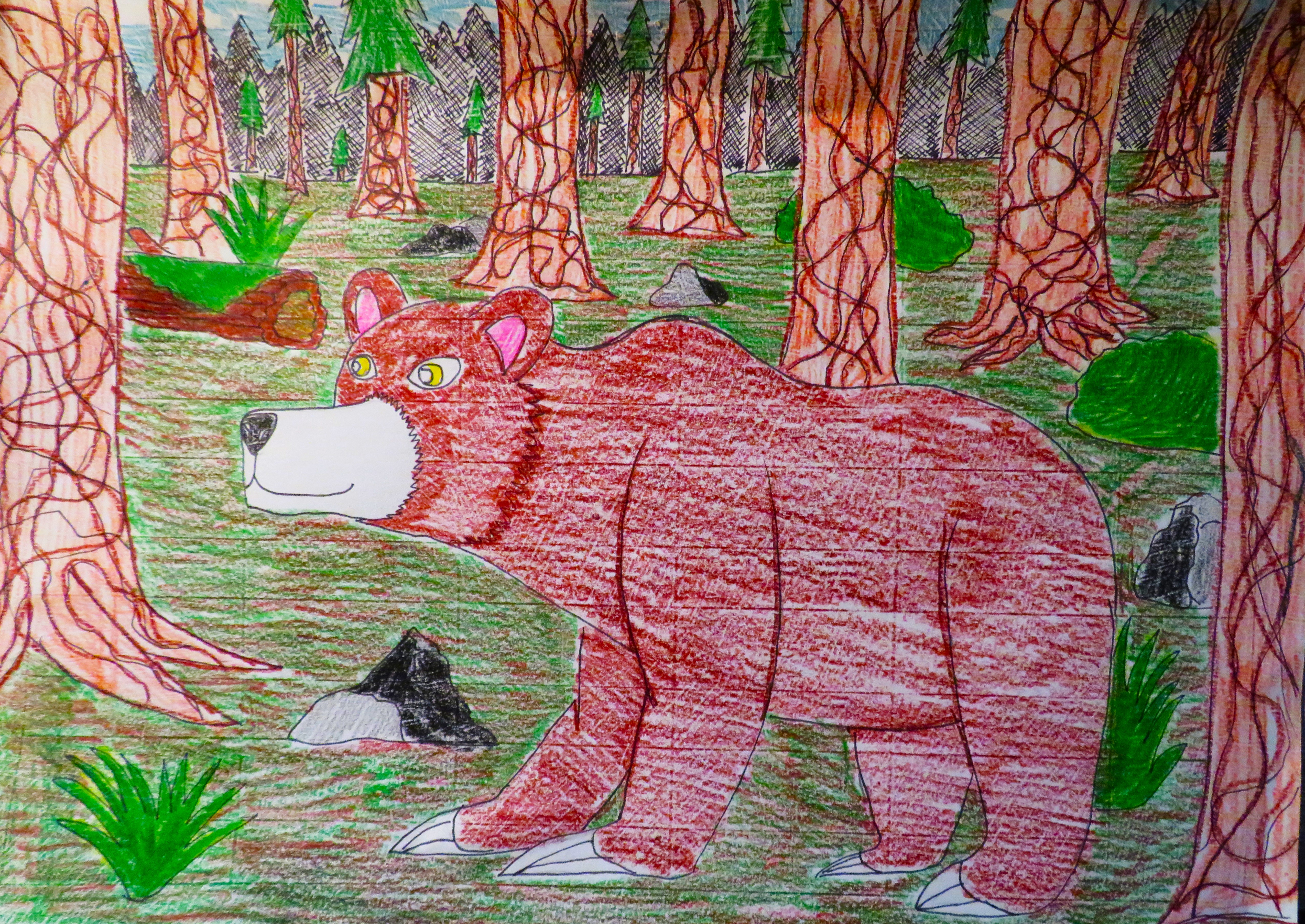 Bear Deviantart Rapper The bear by balint2002 on DeviantArt