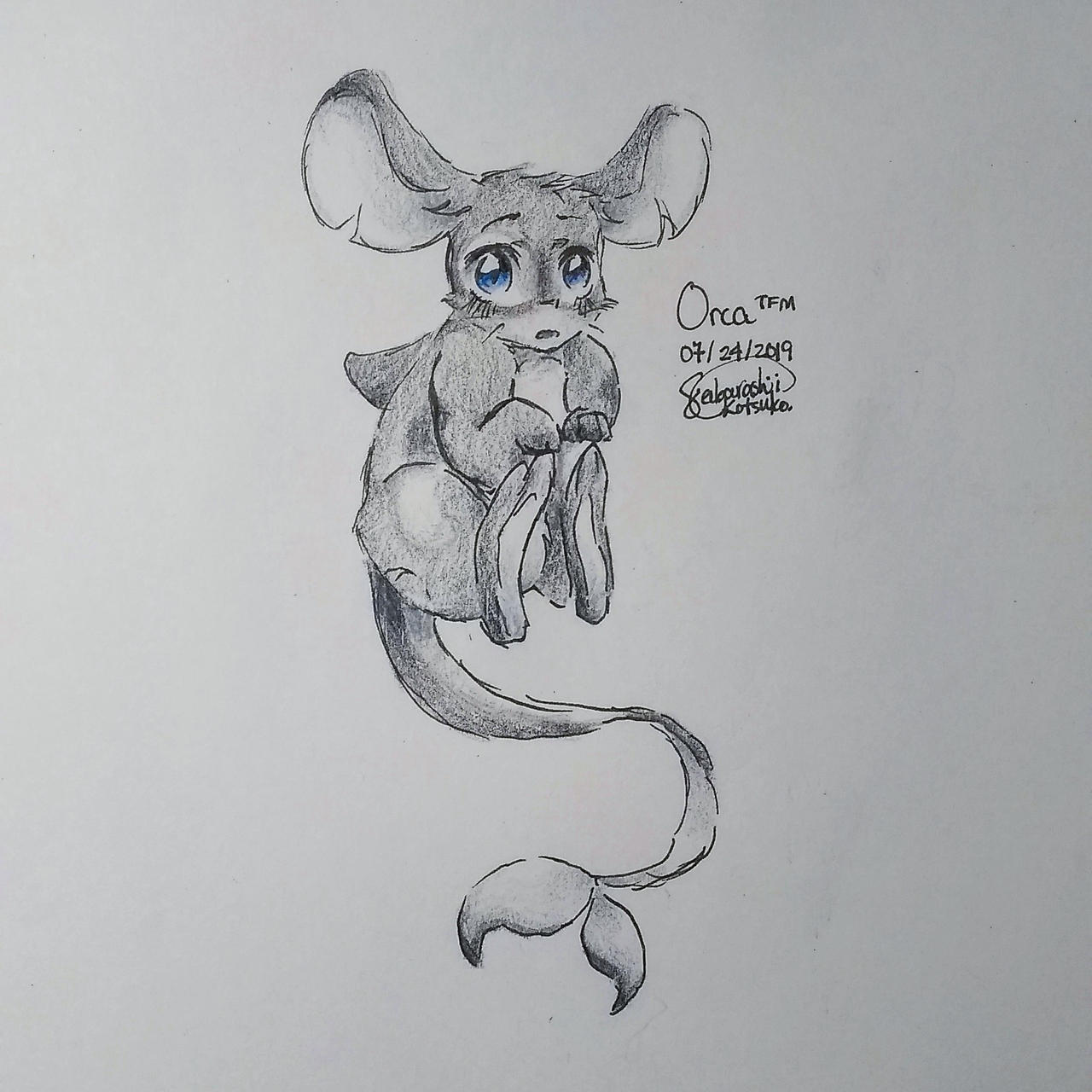 Orca Fur (Transformice) by KotsukoSubarashi on DeviantArt