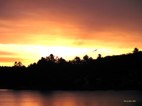 Sunset - Weirs Beach, NH.