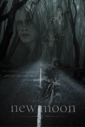 NEW MOON POSTER : wolves