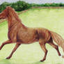 Galloping Gaily
