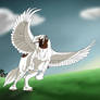 Taking Flight