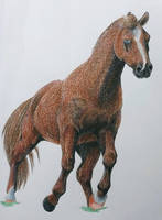 Prancing in the Moonlight