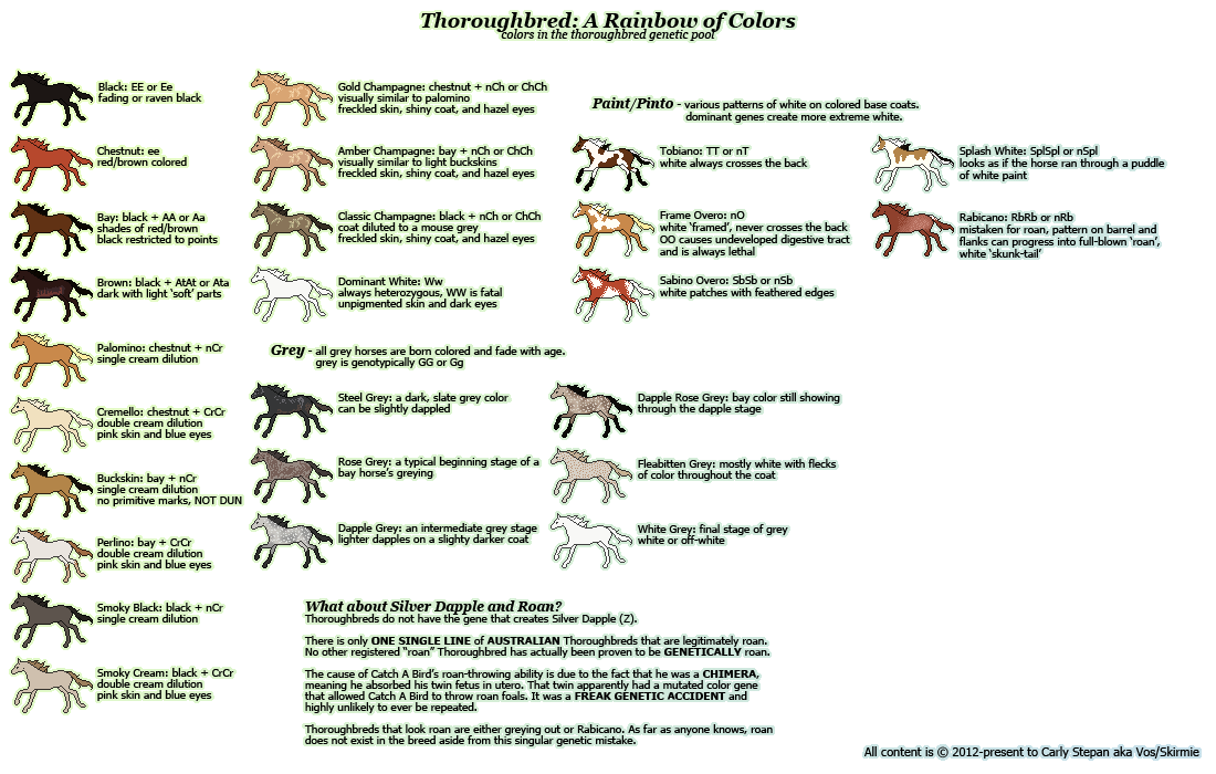 Buckskin Horse Color Chart The Dun Gene Horses Horse Color Chart Dun