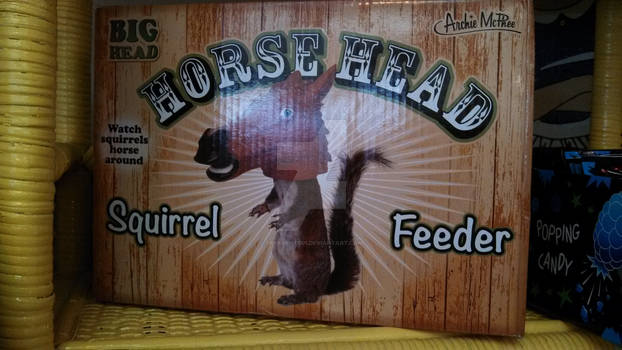Gift for Jean I - Squirrel Feeder