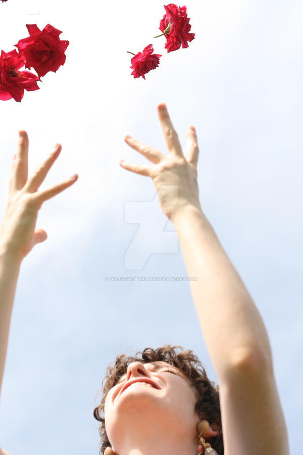 Rose Throwing...101 by GGpictureTakings on DeviantArt