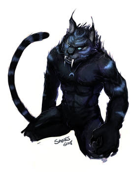 Werecat Animation Explore the Best Werecat Art | DeviantArt
