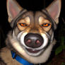 DALL-E 3 (Realistic, Wolfdog) file14384