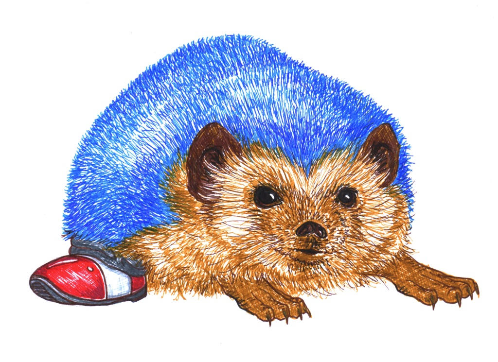 Sonic hedgehog in the real world by no1shadow on DeviantArt