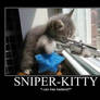 Sniper-Kitty