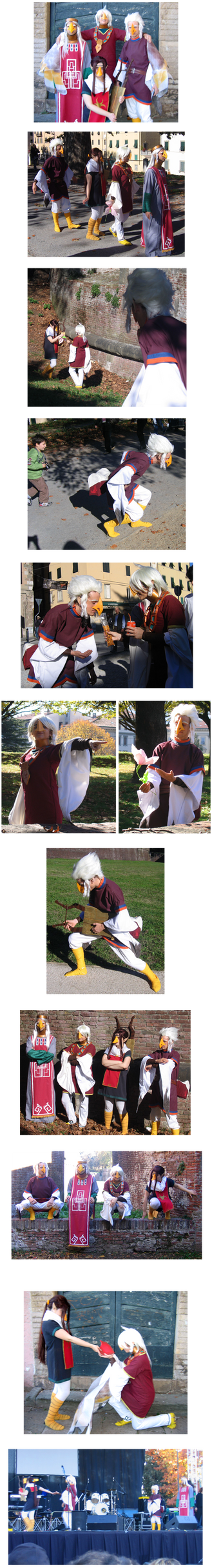 Zelda birds photo set 2 - Rito edition