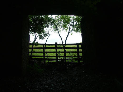 Skipton Woods