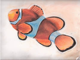 Clownfish in Pastel