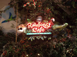 Welcome to the Rainforest Cafe
