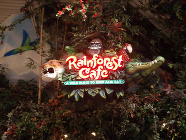 Welcome to the Rainforest Cafe
