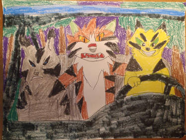 Tigerstar Don't Hurt Me!