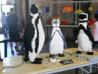 More Lego Penguins at the Bronx Zoo