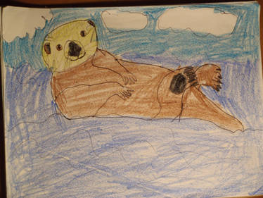 Meet the Sea Otter