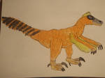 Velociraptor