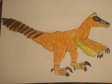 Velociraptor