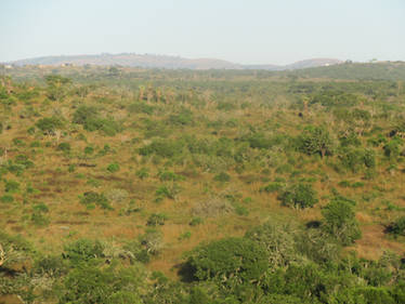 Welcome to Africa