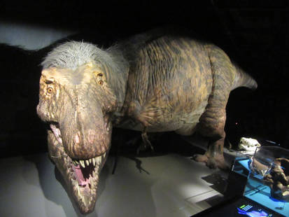 Tyrannosaurus rex (T-rex Adult)