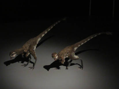 More Baby T-rexes