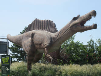 Spinosaurus at New York Aquarium