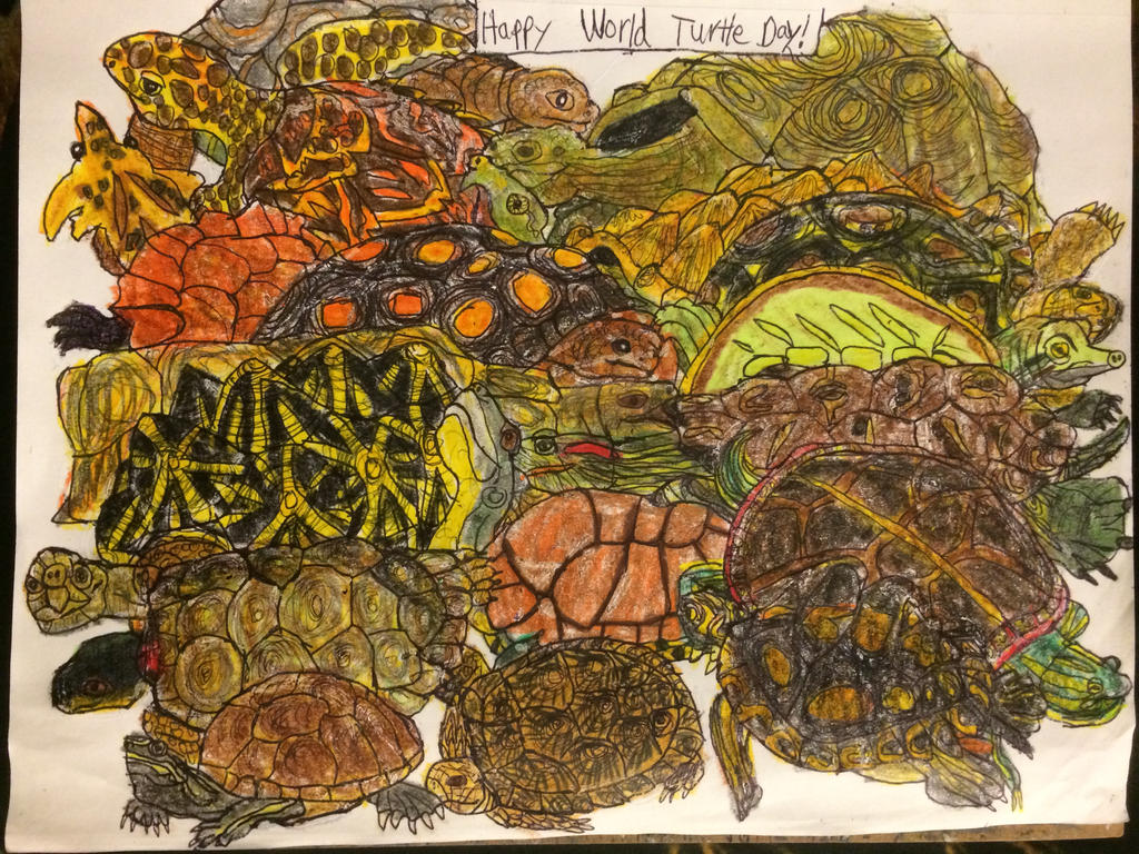 World Turtle Day By Sabreleopard On Deviantart World Turtle Day By Sabreleopard On Deviantart