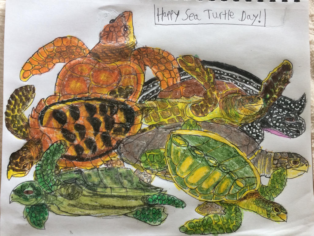 World Sea Turtle Day By Sabreleopard On Deviantart World Sea Turtle Day By Sabreleopard On Deviantart