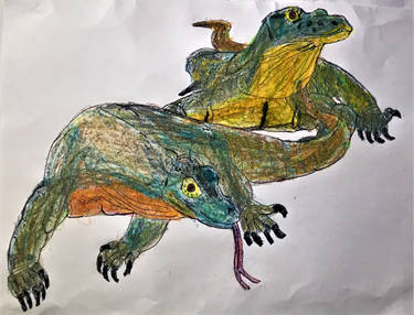 Two Komodo Dragons