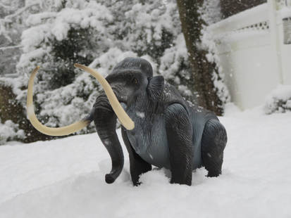 Mammoth in the snow
