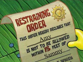 Restraining Order for Amy