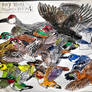 World Migratory Bird Day